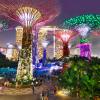 Gardens by the Bay